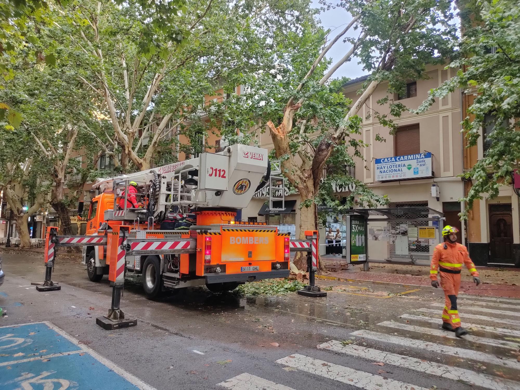 Ramas caídas y árboles arrancados en Xàtiva tras la tormenta del fin de semana