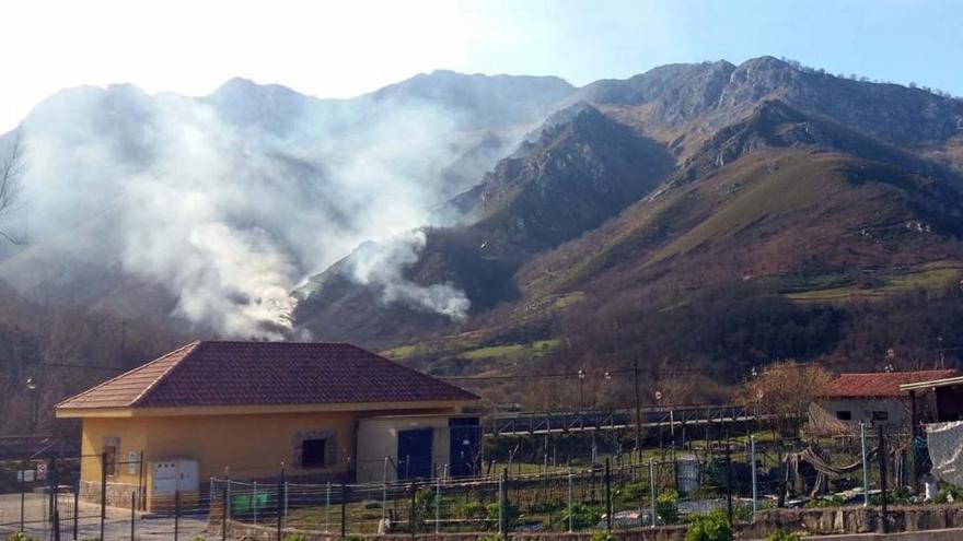 Los bomberos sofocan varios incendios forestales en las Cuencas