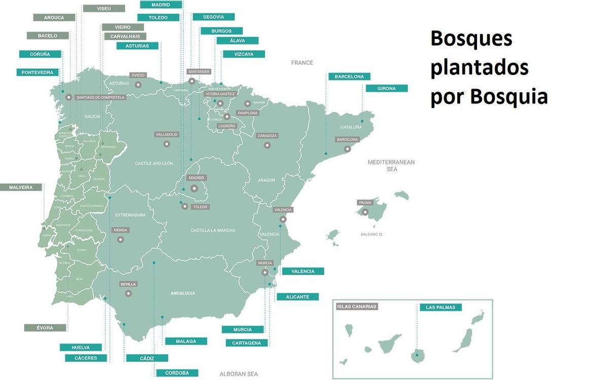 MAPA PLANTACIONES BOSQUIA