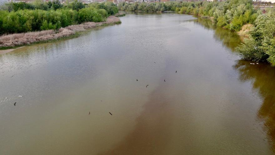 Emacsa detecta en el Guadalquivir un vertido procedente de la parte alta del río