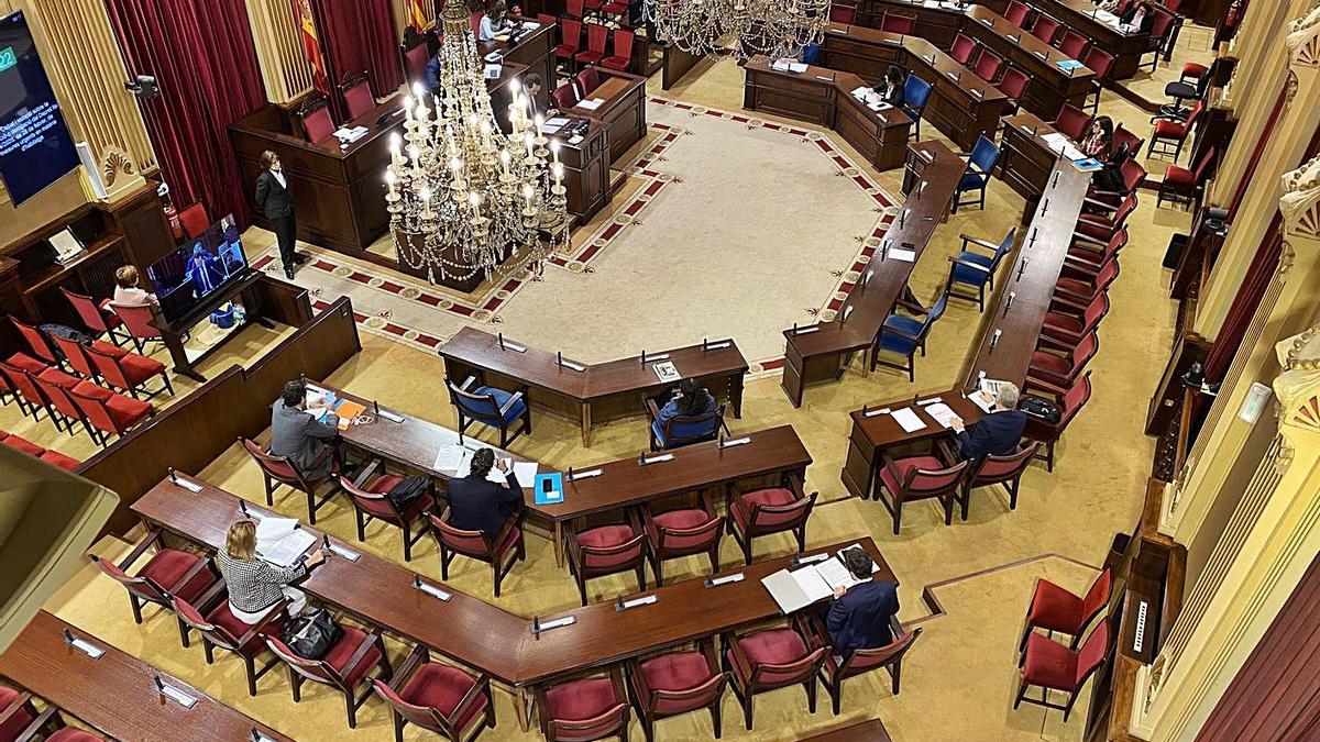 Seis denuncias en 2020 se dirigieron contra miembros del Parlament balear.