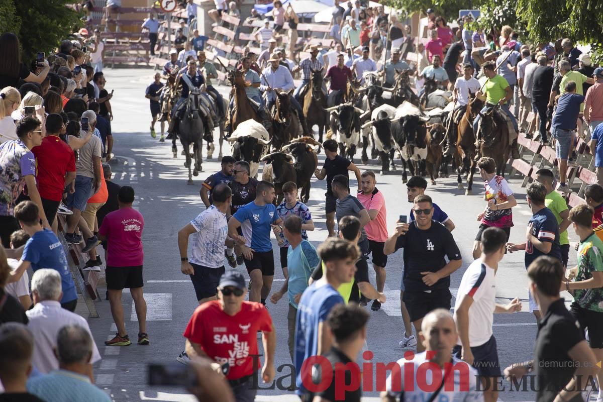 Sexto encierro de las Fiestas de Moratalla