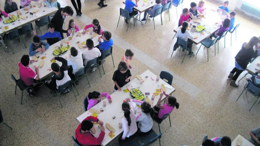 Seis de cada diez alumnos de la provincia de Zamora cuentan beca de comedor