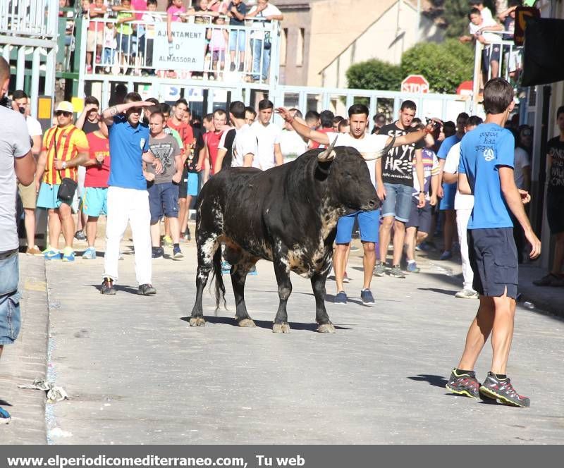 GALERÍA DE FOTOS -- Jornada dominical de Santa Quitèria en Almassora