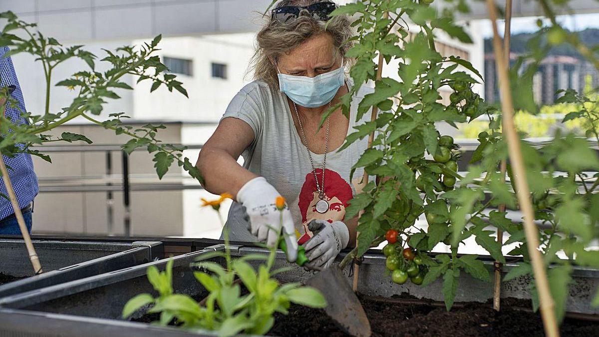 Ana Guitián, en el huerto terapéutico instalado en la cubierta del hospital de Ourense.