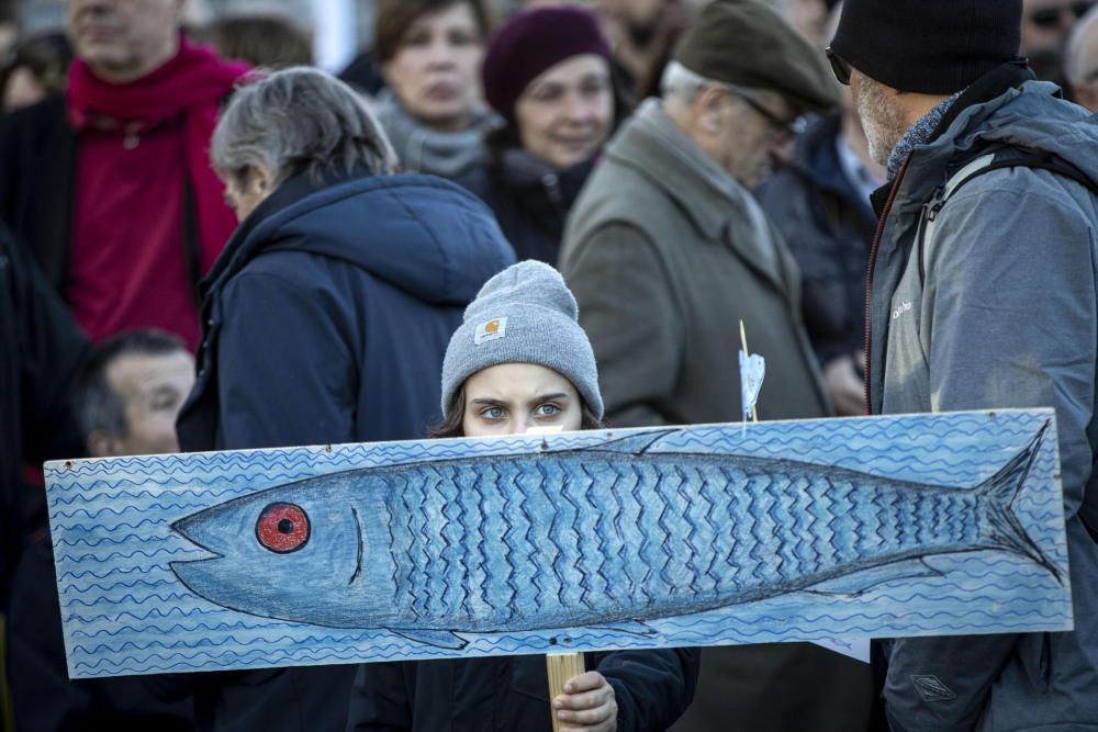 Más de 40.000 'sardinas' se manifiestan en Roma