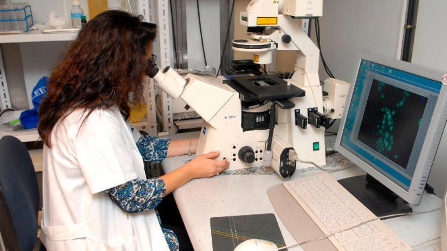 Laboratorio de investigación de la Universidad de Las Palmas de Gran Canaria.