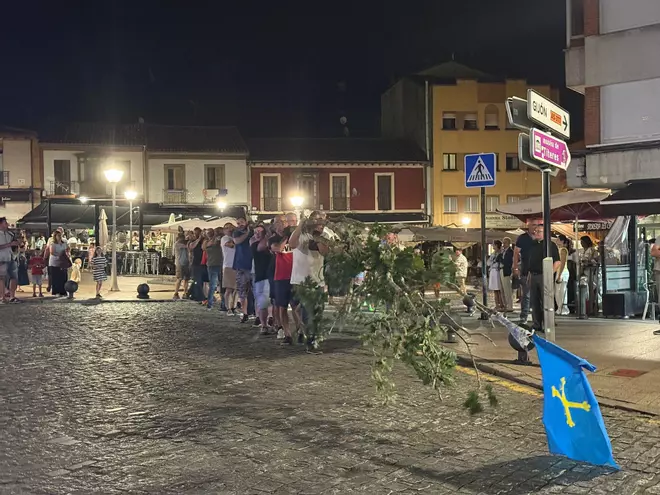 En imágenes: así se plantó el roble de los 'casaos' en Pola