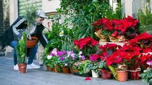 Floristería de Barcelona a con flores y plantas de Navidad.