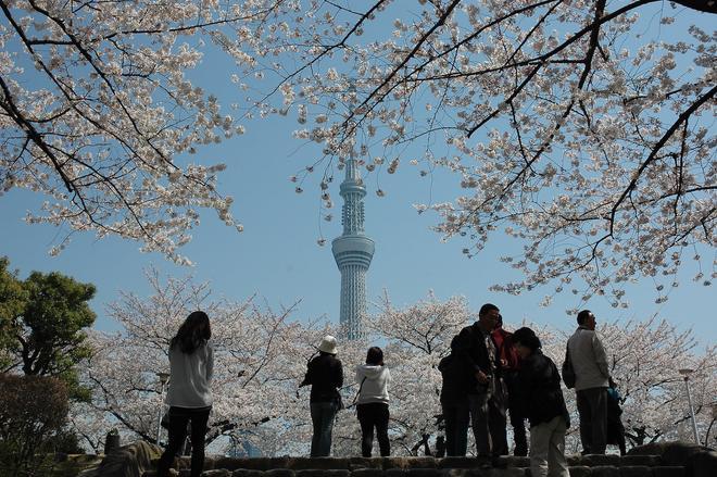 Tokio, Japón