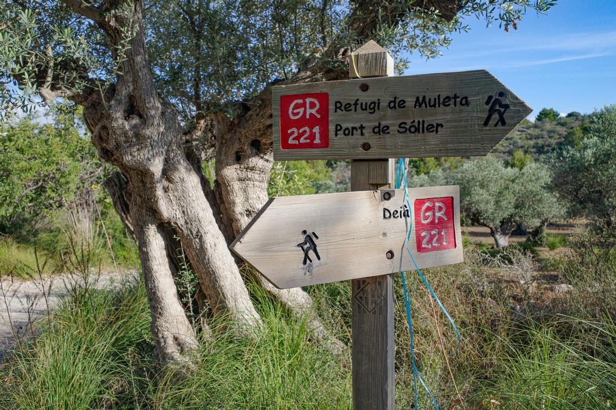 Hay  varios caminos que conectan con el entorno natural