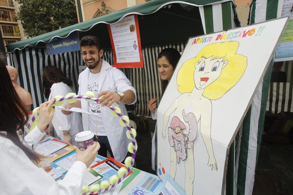 Celebración en València del Día Mundial de la Salud