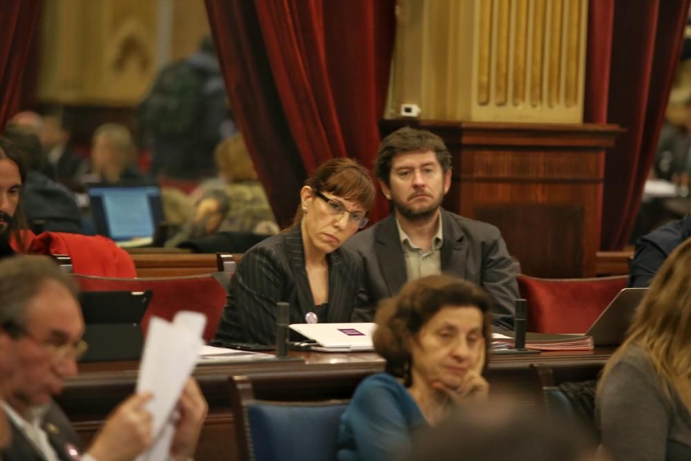 Sesión del Parlament sobre la Ecotasa