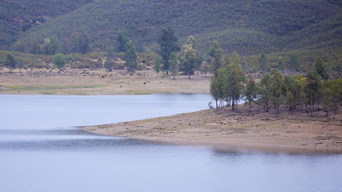 Detalle de  un embalse