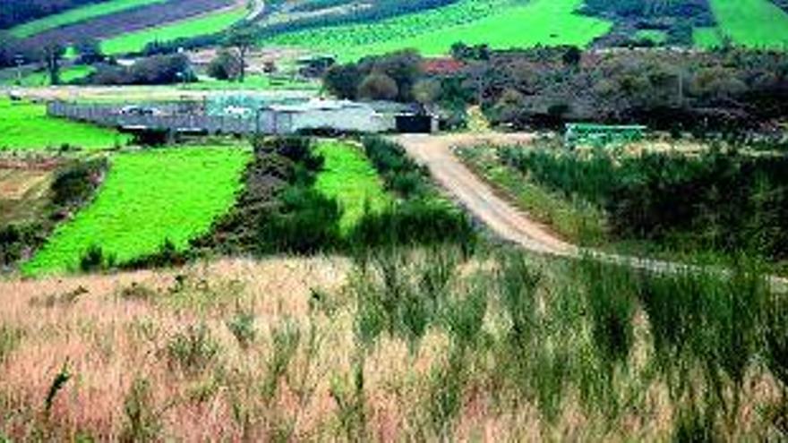 El parque agroforestal acogerá una planta de biomasa y otra de biogás