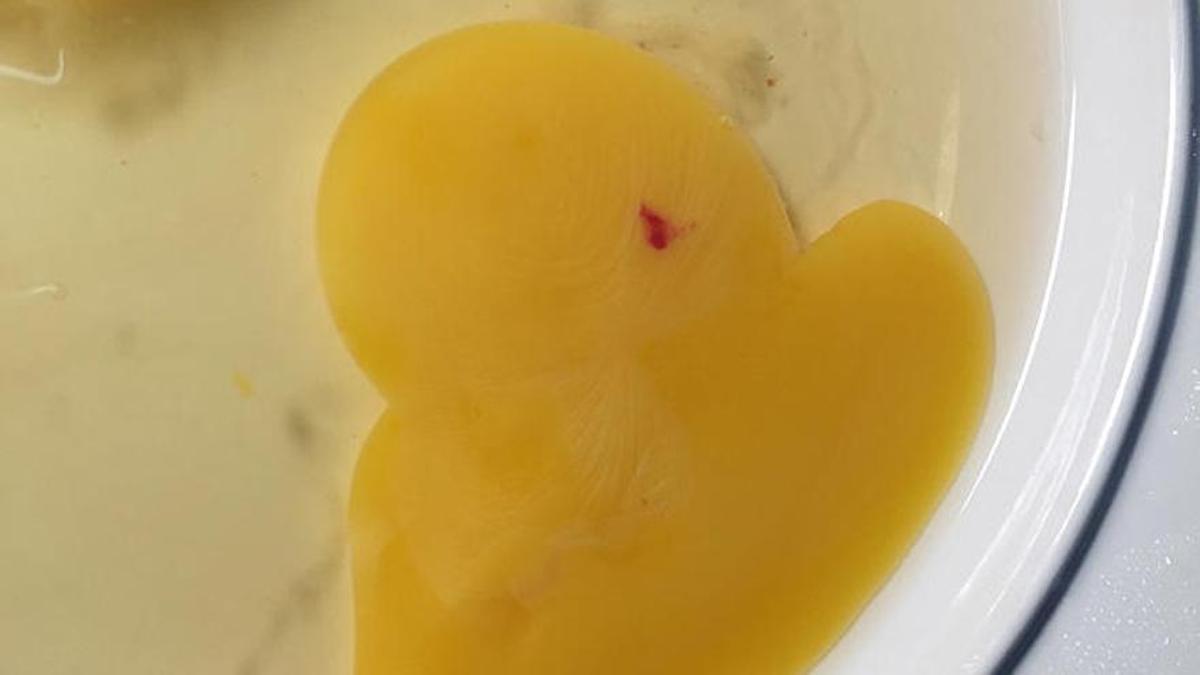 Los huevos pueden presentar pequeñas manchas de sangre. Los huevos pueden presentar pequeñas manchas de sangre.