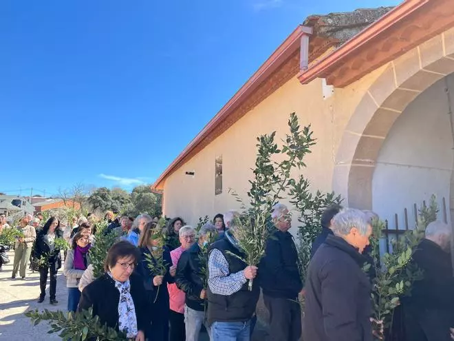 Bercianos da inicio a la "Pasión de un pueblo" con la bendición de palmas
