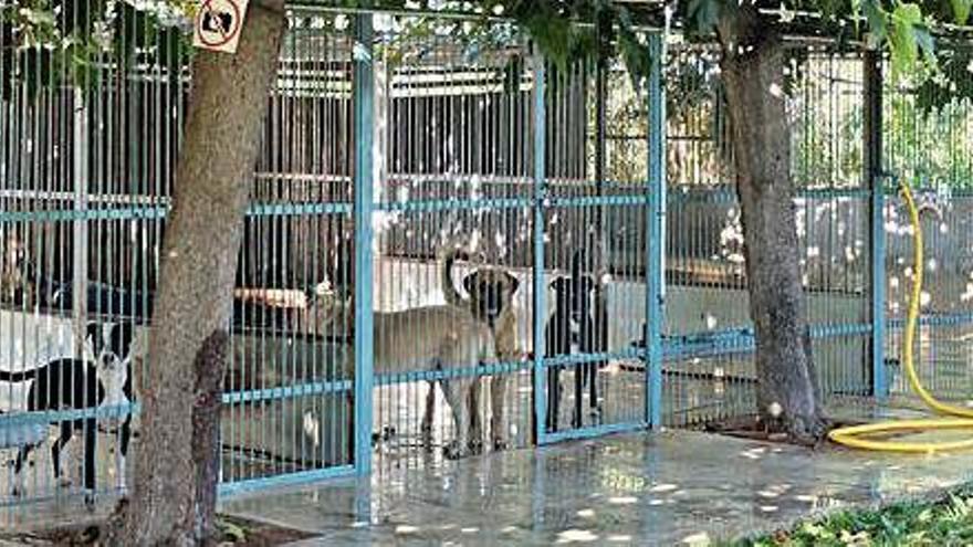 Les instal·lacions de l&#039;Associació Protectora d&#039;Animals i Plantes de Figueres.