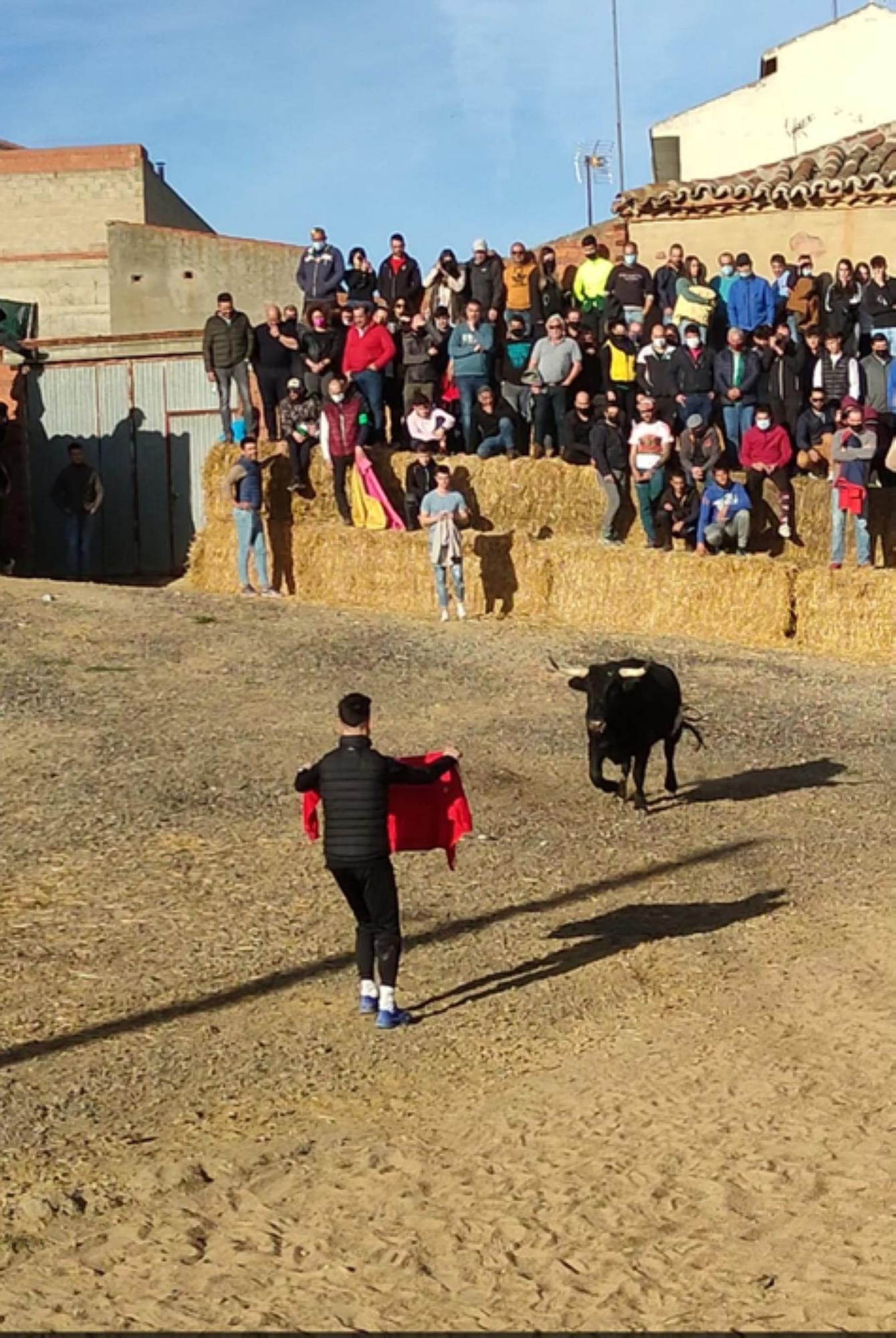 Castrogonzalo celebra el Toro de San Antón. / E. P.