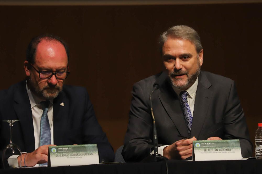 Orihuela acoge hasta el viernes el X Simposio Internacional de la Alcachofa con ponencias, stands y los mayores expertos en este cultivo estrella en la Vega Baja.