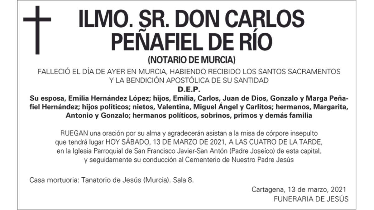 Ilmo. Sr. Carlos Peñafiel de Río - La Opinión de Murcia