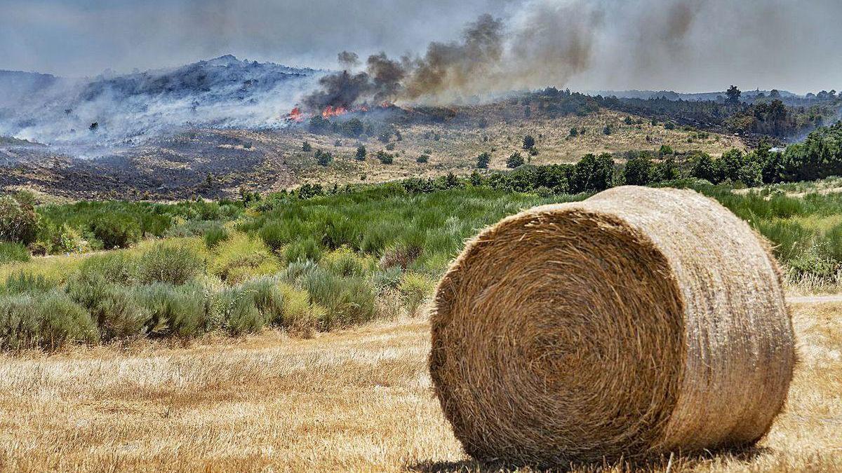 El incendio en Monterrei obligó a activar la alerta 2 por la proximidad a las viviendas.