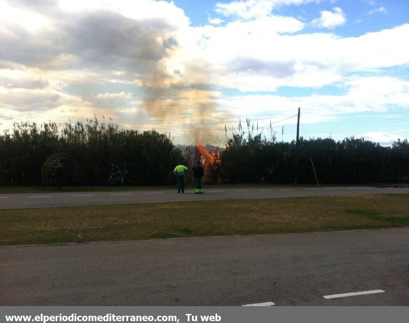 GALERÍA DE FOTOS -- Incendio en el Millars en Almassora