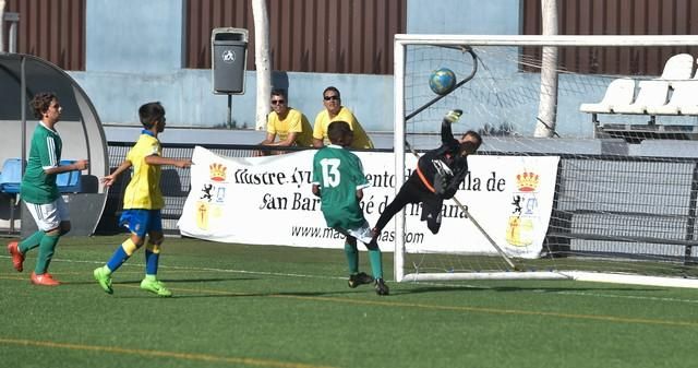 Copa de Campeones de Alevines