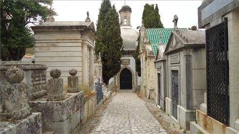 Cementerio de Cáceres, historia viva