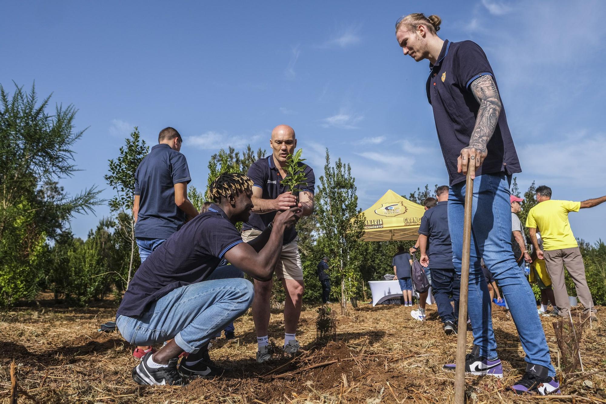 Reforestación 'Compromiso Granca'