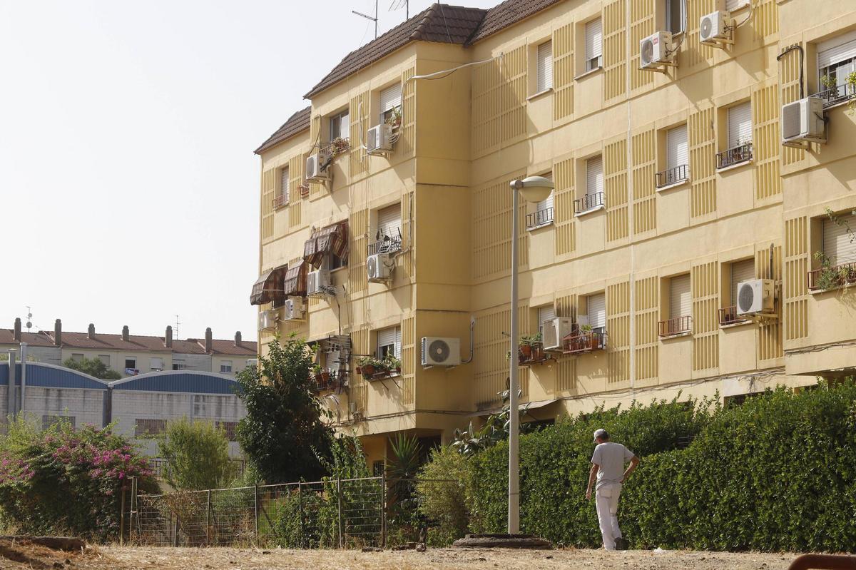 Viviendas del Guadalquivir, poco adaptadas.