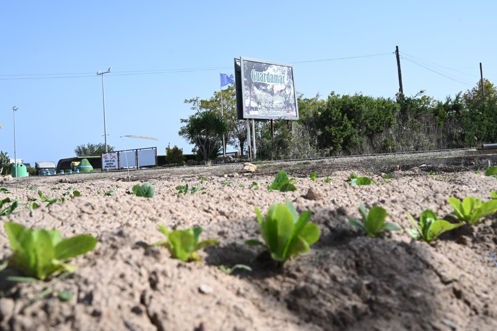 Camping de "mobil homes" en suelo no urbanizable e inundable de Guardamar