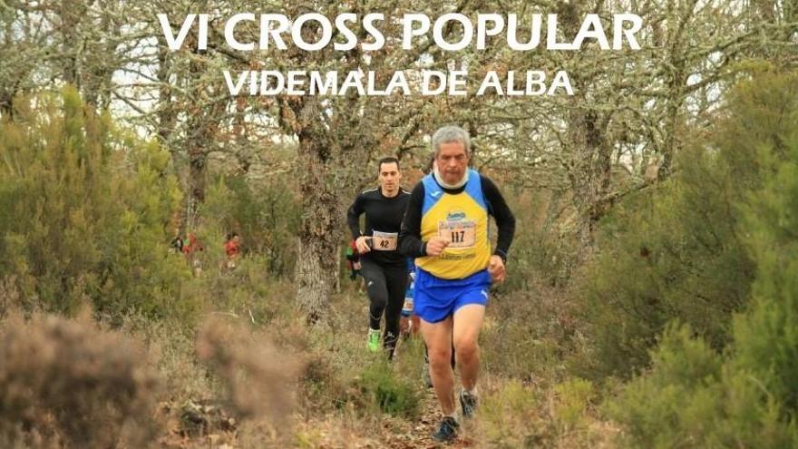 Cross de Videmala de Alba.