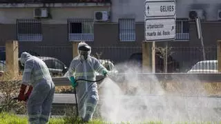 Nueva víctima mortal en la provincia de Sevilla por el virus del Nilo