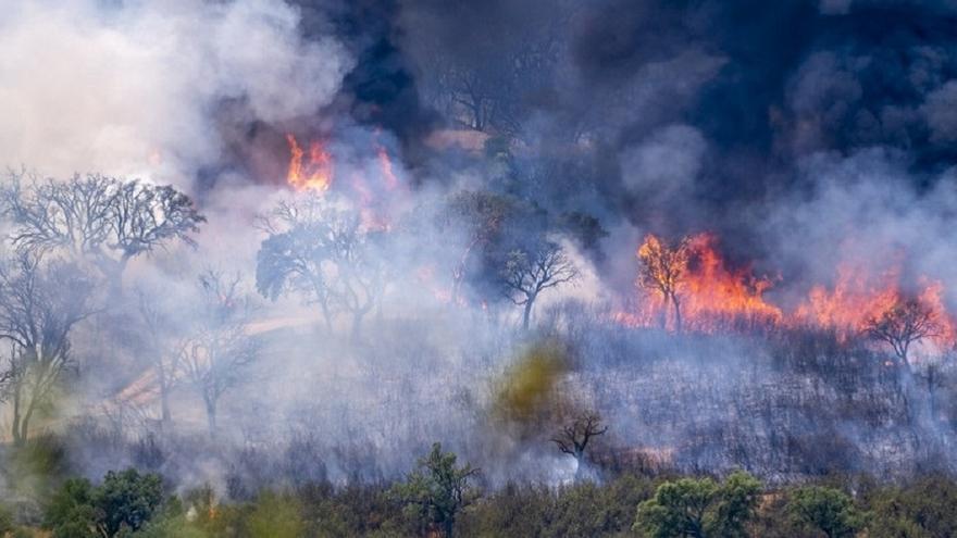 UPA-UCE pide a Sánchez la declaración de zona catastrófica ante los tres incendios de Extremadura