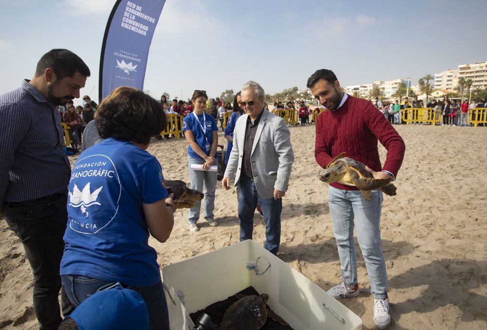 Suelta de tortugas en la playa del Port de Sagunt