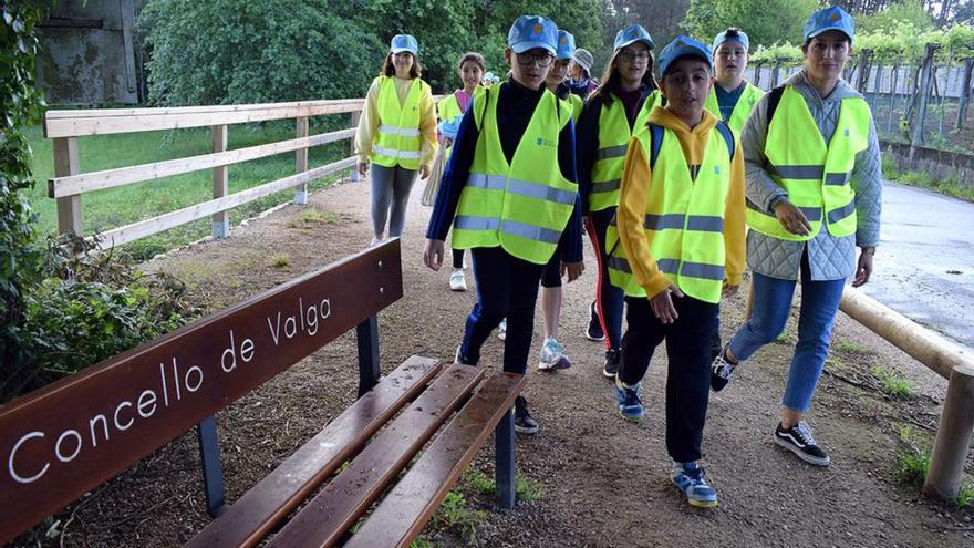 Escolares peregrinos de Valga percorren e fan unha intervención medioambiental no Camiño