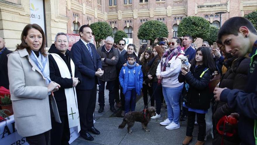 Bendición de animales de la UCO