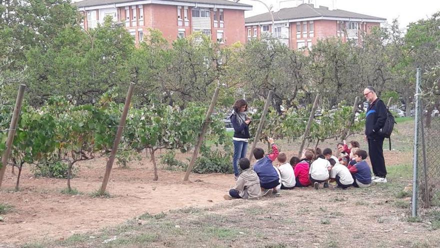 S&#039;informarà sobre el procés d´elaboració del vi i la història de la vinya al Bages