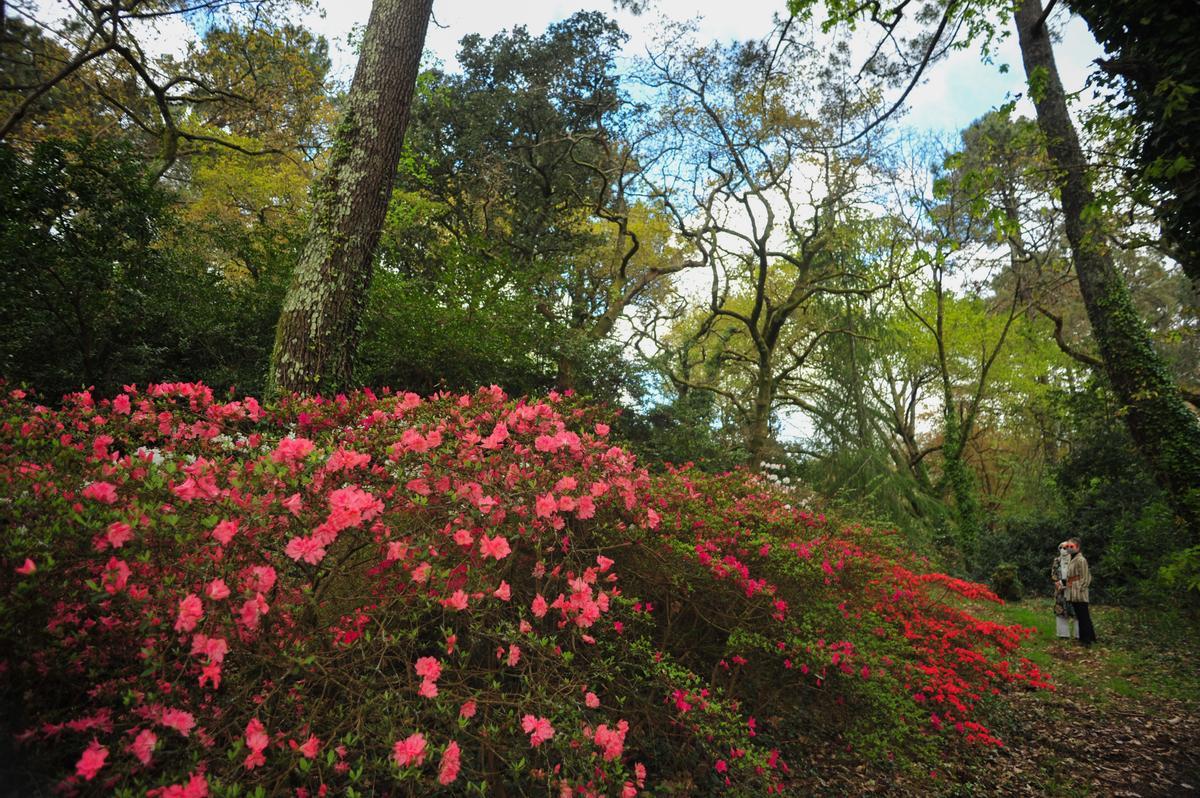 Vista del jardín inglés de A Saleta