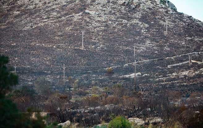 Pollença nach dem Waldbrand