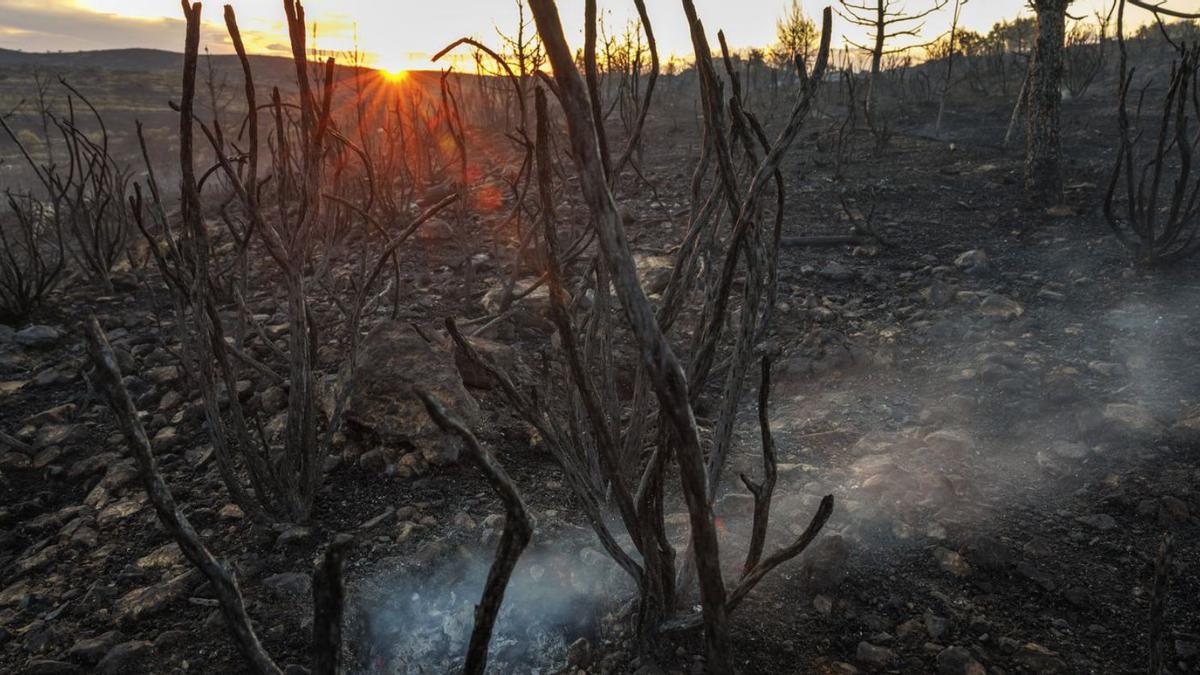 Zona cremada per l’incendi de Begís | BIEL ALIÑO/EFE
