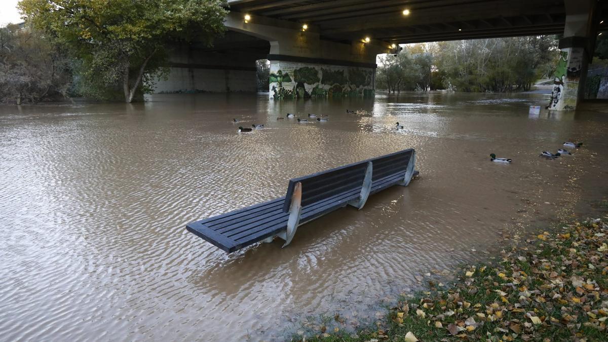 El río Ebro sufrirá esta madrugada su primera crecida de 2021