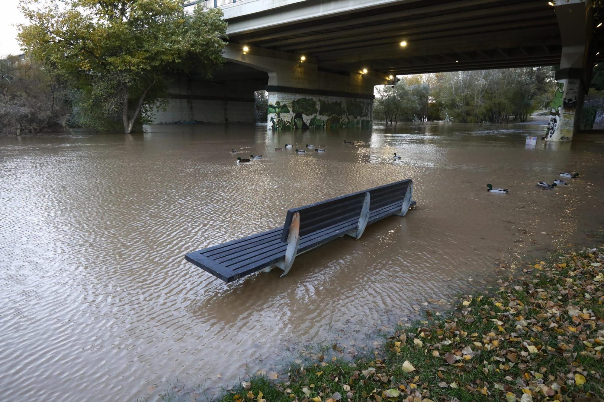 El río Ebro sufrirá esta madrugada su primera crecida de 2021