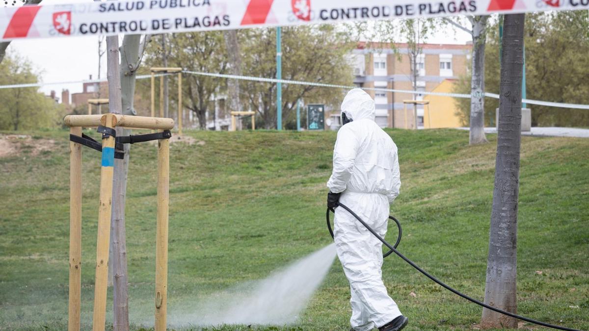Un operario municipal de Salud Pública, este miércoles en un parque de Zaragoza.