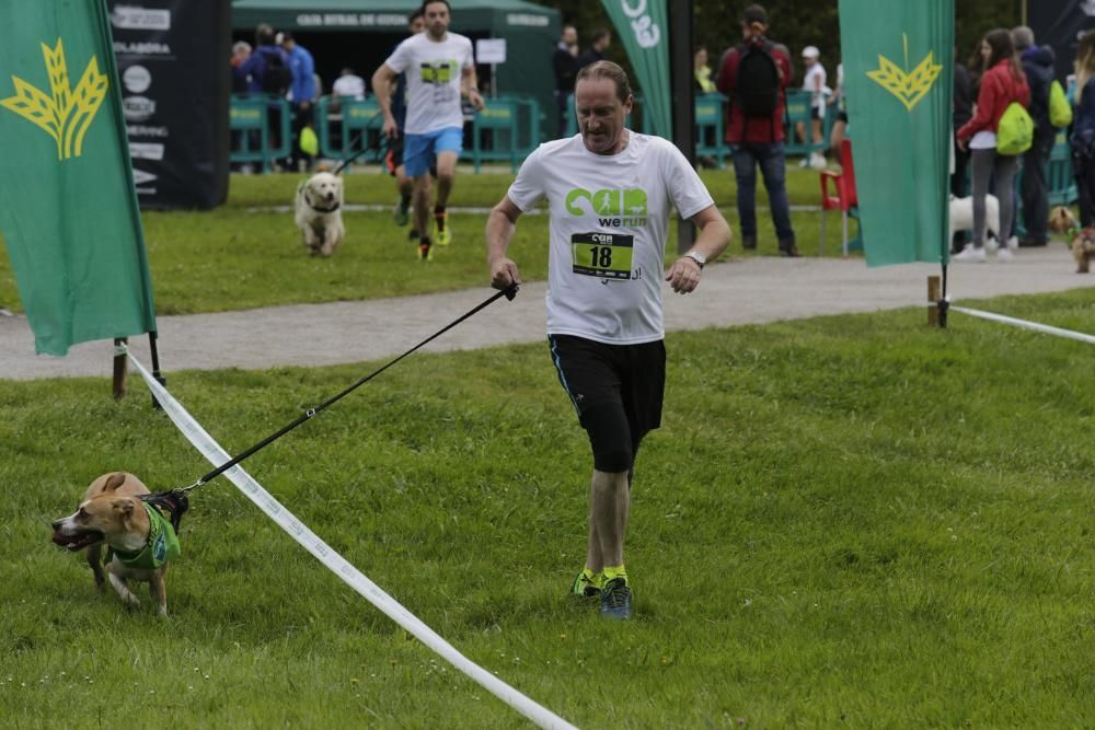 "Can We Run": Deporte, perros y solidaridad toman Gijón