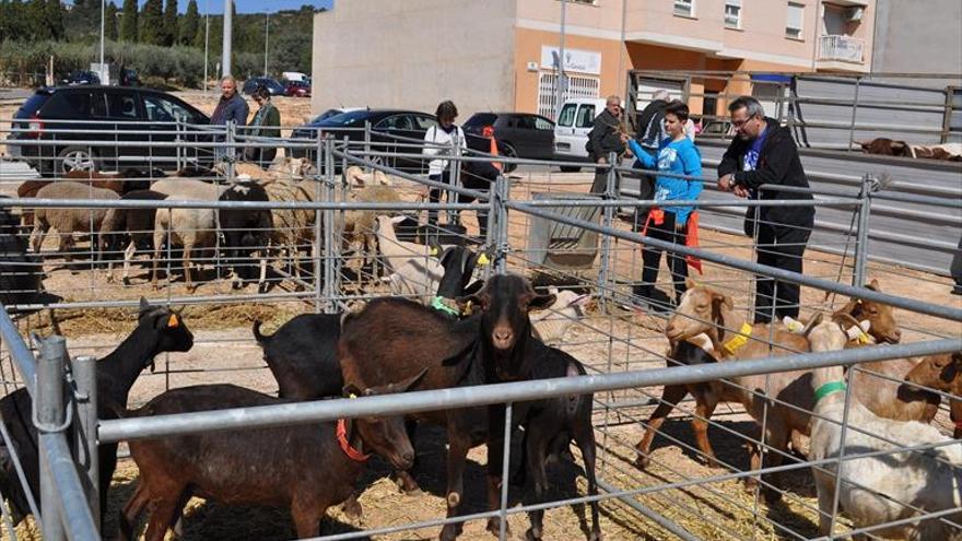 Vall d’Alba arranca hoy su Fira con 160 expositores