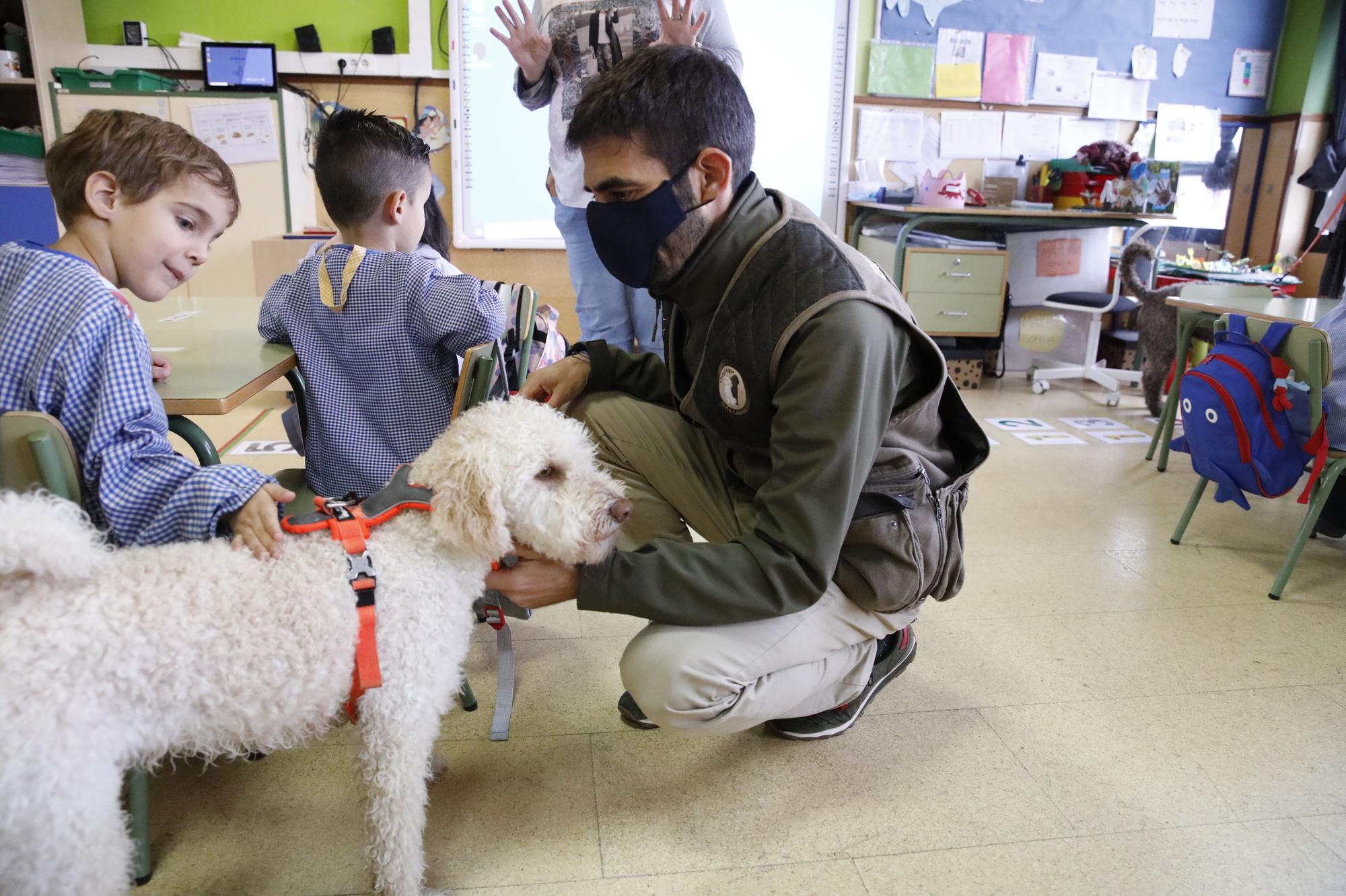 Los niños de Los Pericones aprenden en clase a lavarse los dientes con perros