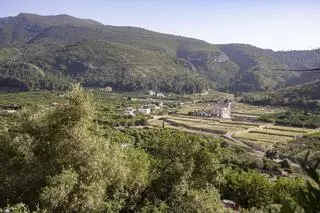 Consell y diputación avalan la alianza de seis pueblos para proteger la Serra de Corbera de los incendios