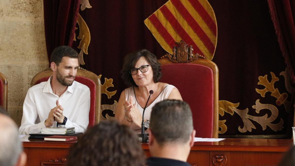 La presidenta de la Mancomunitat la Costera-Canal, Mª José Tortosa, en un pleno de la entidad comarcal en Xàtiva.